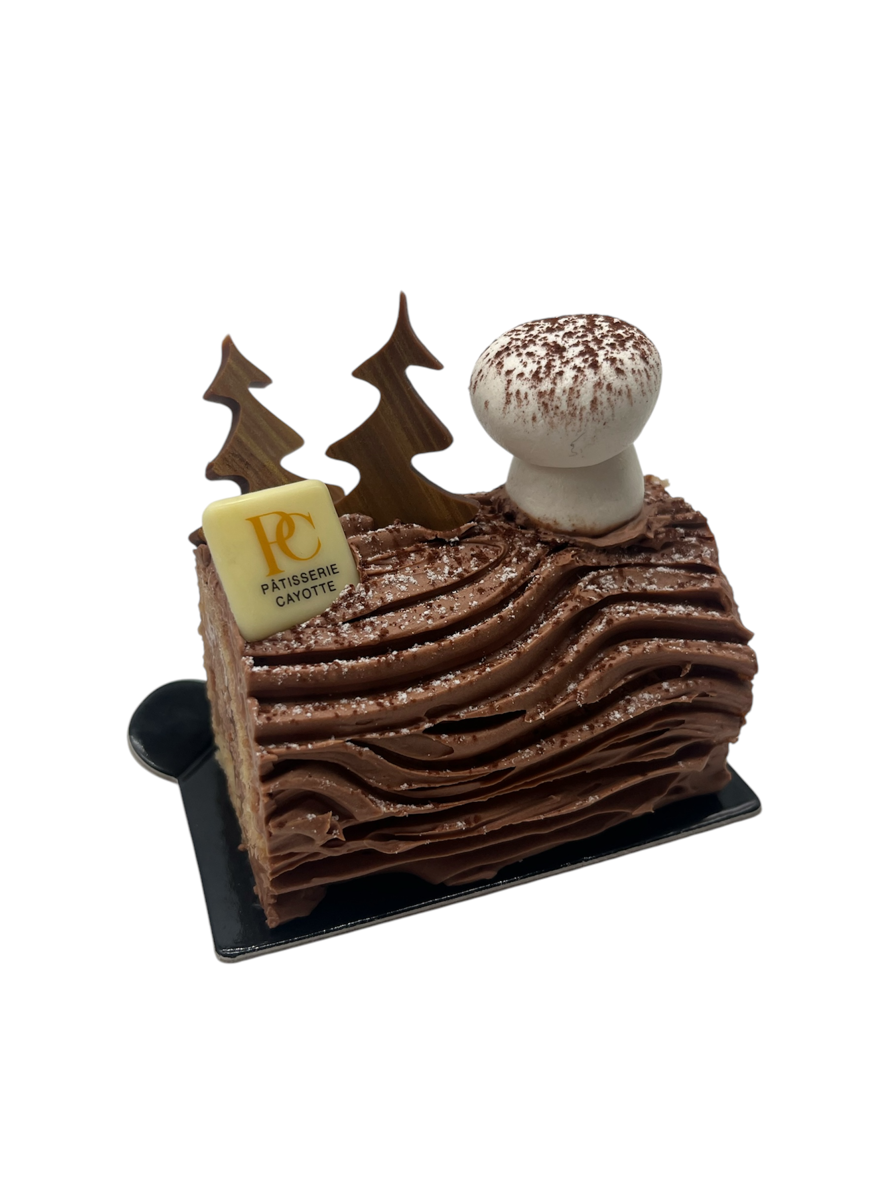 Photoroom_20241129_214302